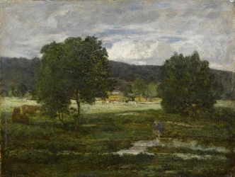 Waldlandschaft